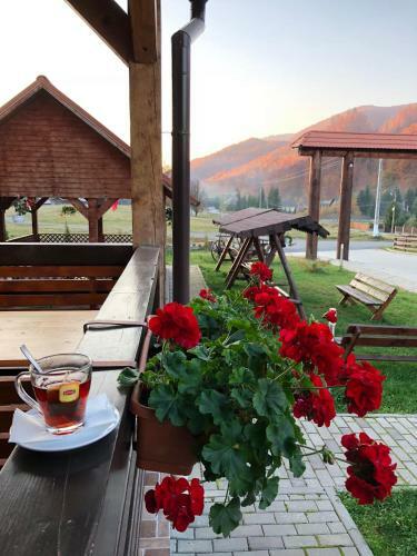 Hostal Pensiunea Ovidiu&paula