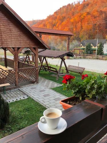 Hostal Pensiunea Ovidiu&paula