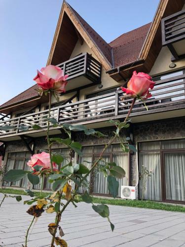 Hostal Pensiunea Ovidiu&paula