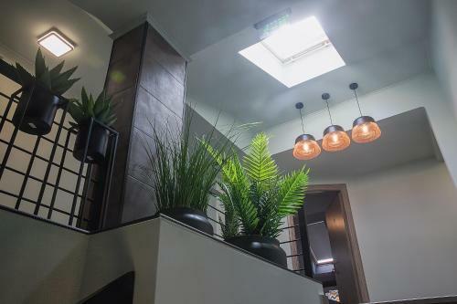 Hotel Corvin House