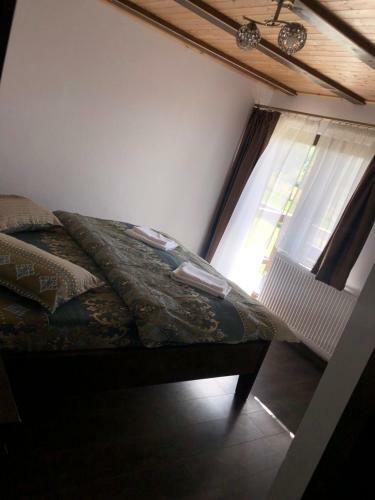Lodge Cabana Iancu Jina