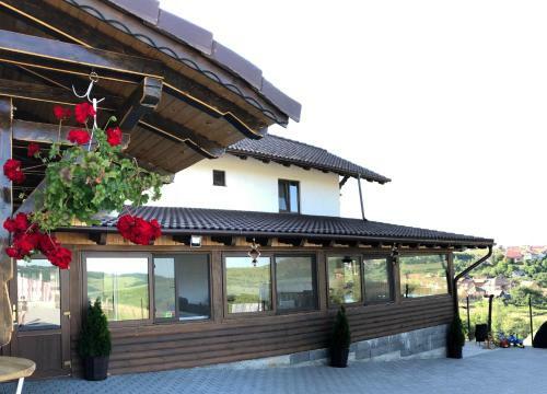 Lodge Cabana Iancu Jina