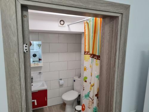 Apartament Cu 1 Camera
