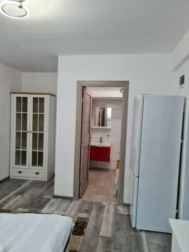 Apartament Cu 1 Camera