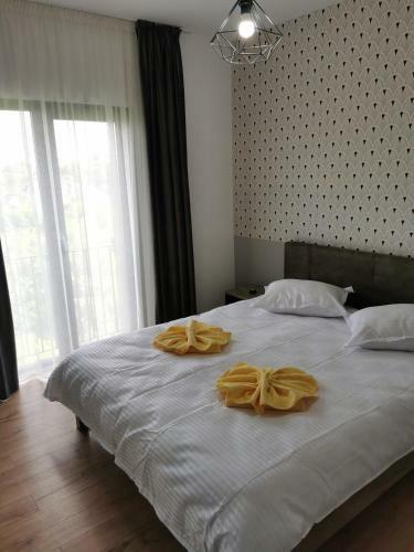 Apartament Regim Hotelier Copou