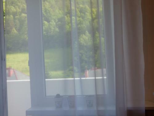 Apartm�n Dolinky