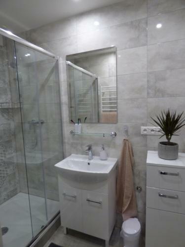 Apartm�n Dolinky