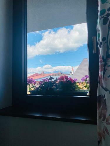 Apartm�ny Tamka