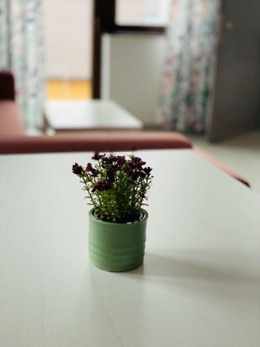 Apartm�ny Tamka
