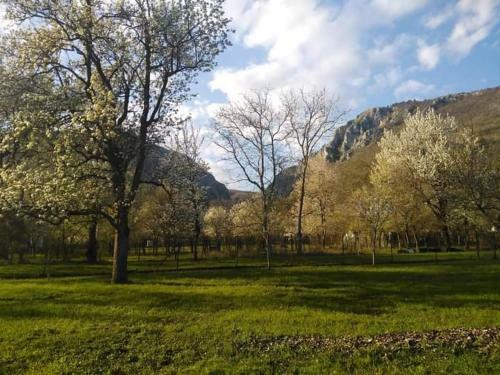 Family Apartman Sz�del? - Z�diel