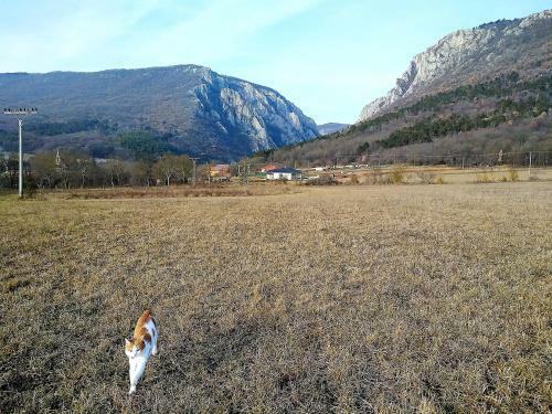 Family Apartman Sz�del? - Z�diel