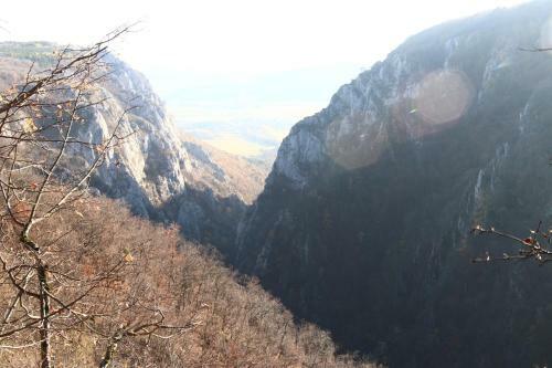 Family Apartman Sz�del? - Z�diel