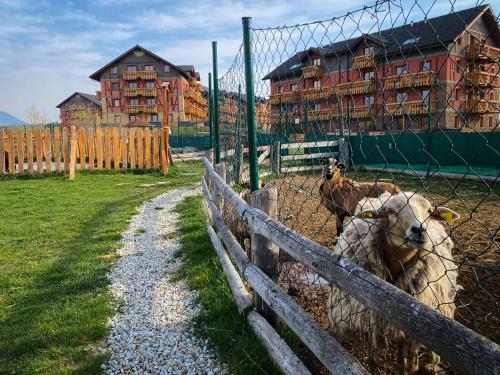 Apartm�n Mountain View - Tatragolf C