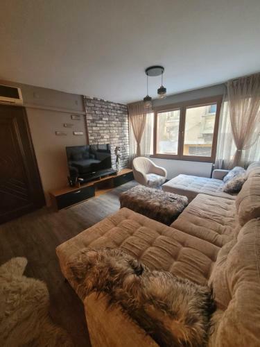 Hayat Apartman