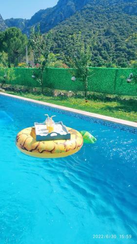 Beautiful 4-bed Villa In Okcular