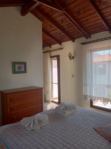 Villa Oliva Houses1