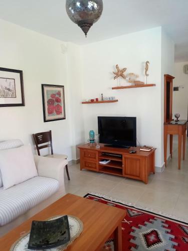 Villa Oliva Houses1