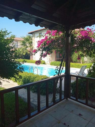 Villa Oliva Houses1