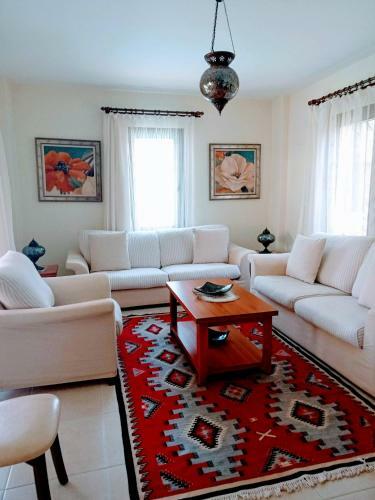 Villa Oliva Houses1