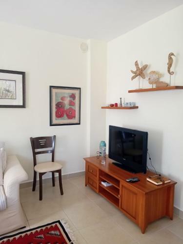 Villa Oliva Houses1