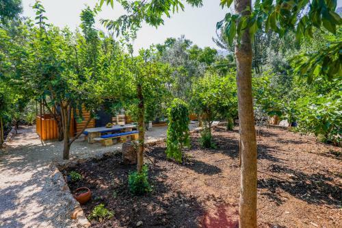 Garden Apart
