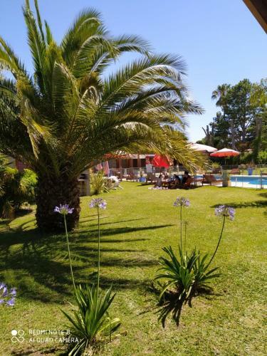 Apartamento Mediterr�neo Caba�as