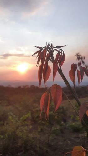 Chal� P�r Do Sol - Tranquilidade Na Zona Rural De Carrancas-mg