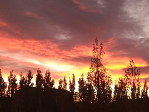 Cielos Patag�nicos Aparts