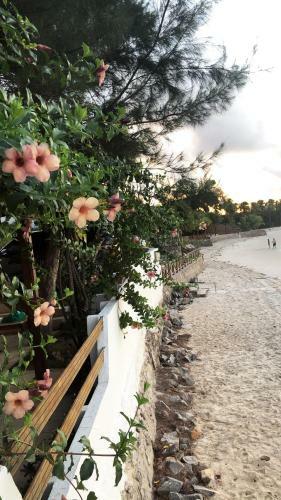 Casa P�r Do Sol � Beira Mar Na Praia De Jacum�