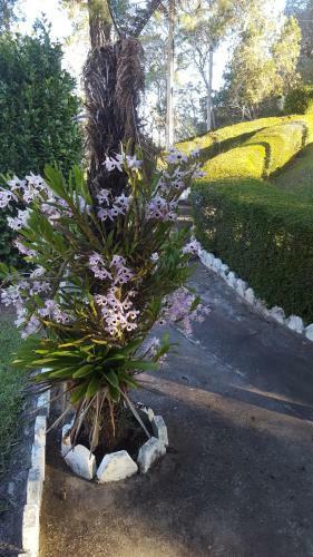 Recanto Dona Ane