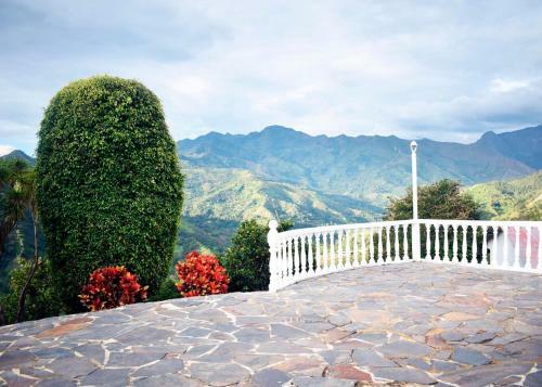 Finca La Pepita