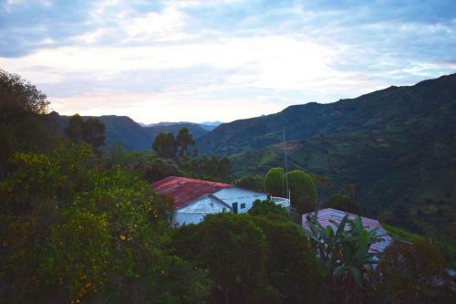 Finca La Pepita