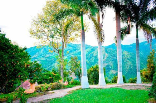 Finca La Pepita