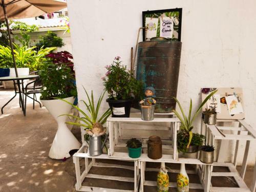 Casa Zaida Hostal Vintage