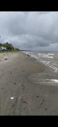 Caba�a Amara