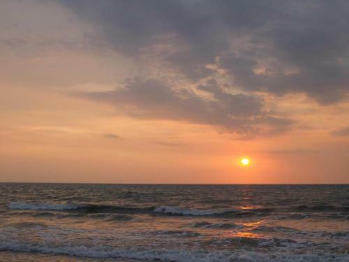 Apartamento - El Palmares Del Franc�s - Tol�