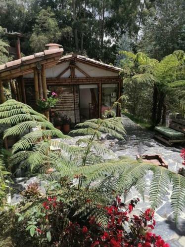 Hotel Oru Campestre