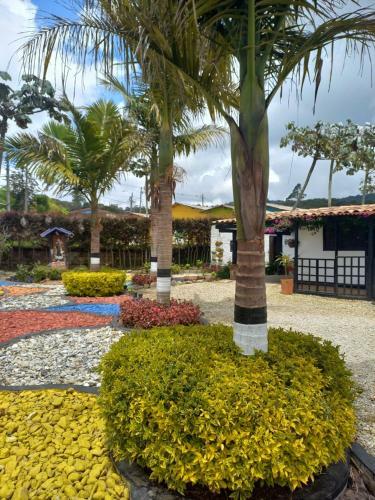 Hotel Spa Aguas Calientes