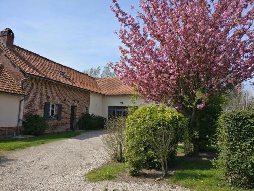 Bed & Breakfast Les Chambres De Pascaline
