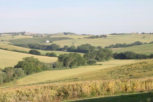 Agroturismo Il Campetto Country House