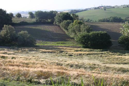 Agroturismo Il Campetto Country House
