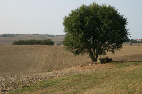 Agroturismo Il Campetto Country House