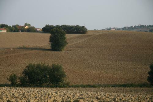 Agroturismo Il Campetto Country House