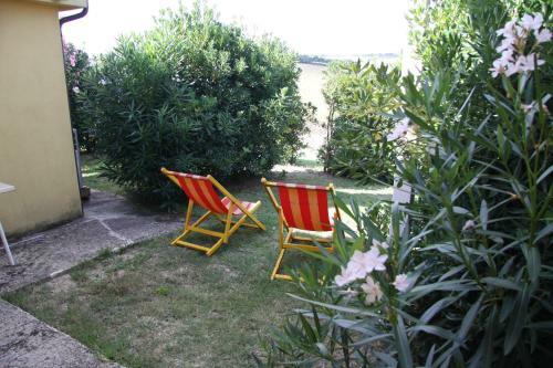Agroturismo Il Campetto Country House