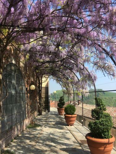 Bed & Breakfast La Corte Delle 4 Stagioni