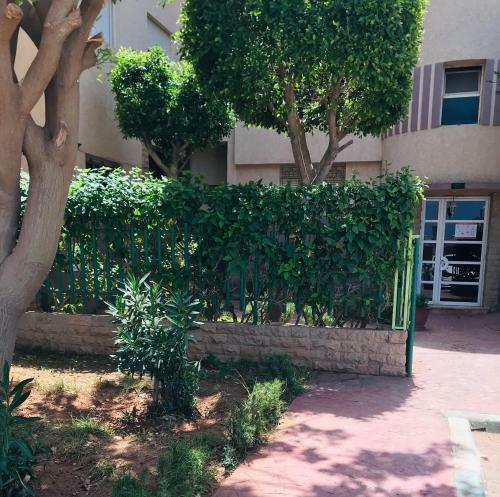Apartamento Studio Tr�s Chaleureux