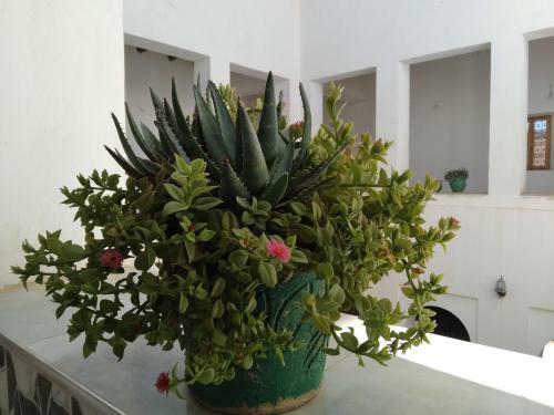 Hotel Et Restaurant Riad Amodou