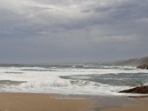 Hostal Ocean Room @ 66 Fynbos