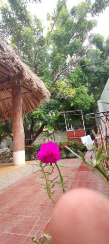 Hostal Caba�a Salguero