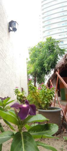 Hostal Caba�a Salguero